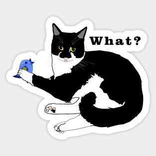 Cute Tuxedo Cat with a Bird WHAT? Copyright TeAnne Sticker